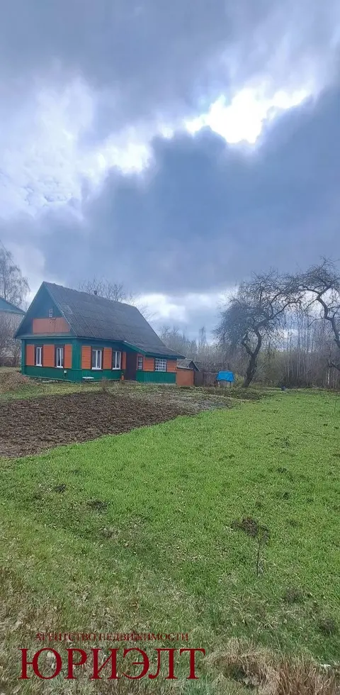  д. Великие Хольневичи, Крупский район, Холопенический сельсовет, ул. Озёрная