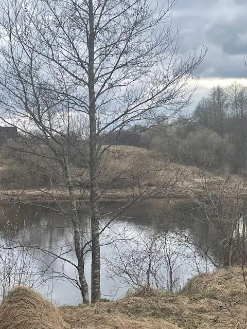  м² и участком соток