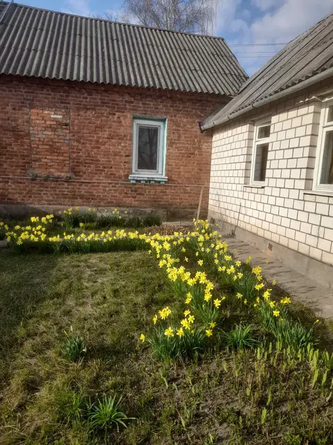  м² и участком соток