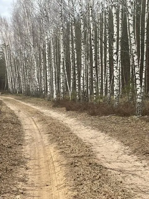 Дом