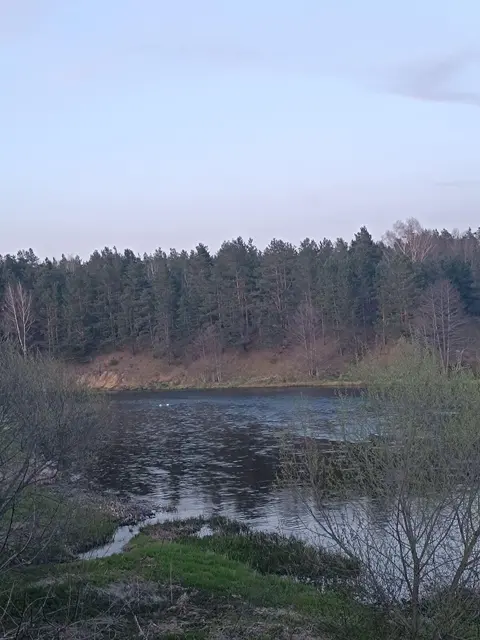  Дом
