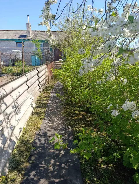  м² и участком соток