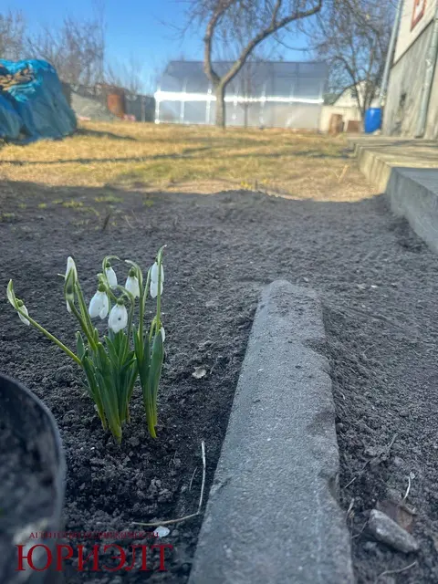  м² и участком соток