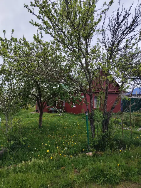  м² и участком соток