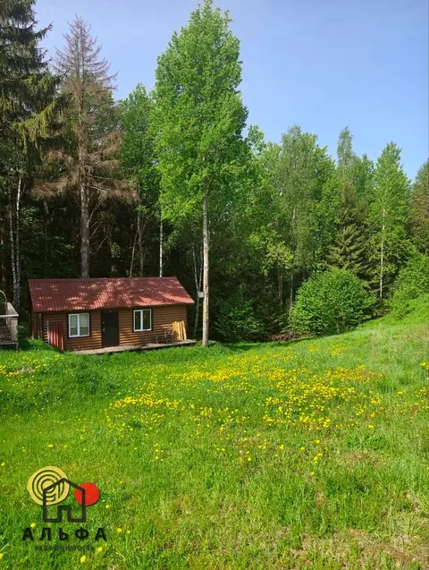  м² и участком соток