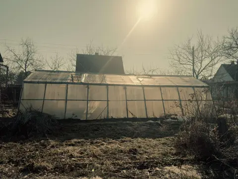  "