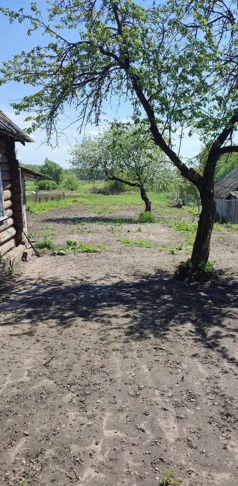  Расположение