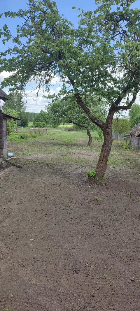  Расположение