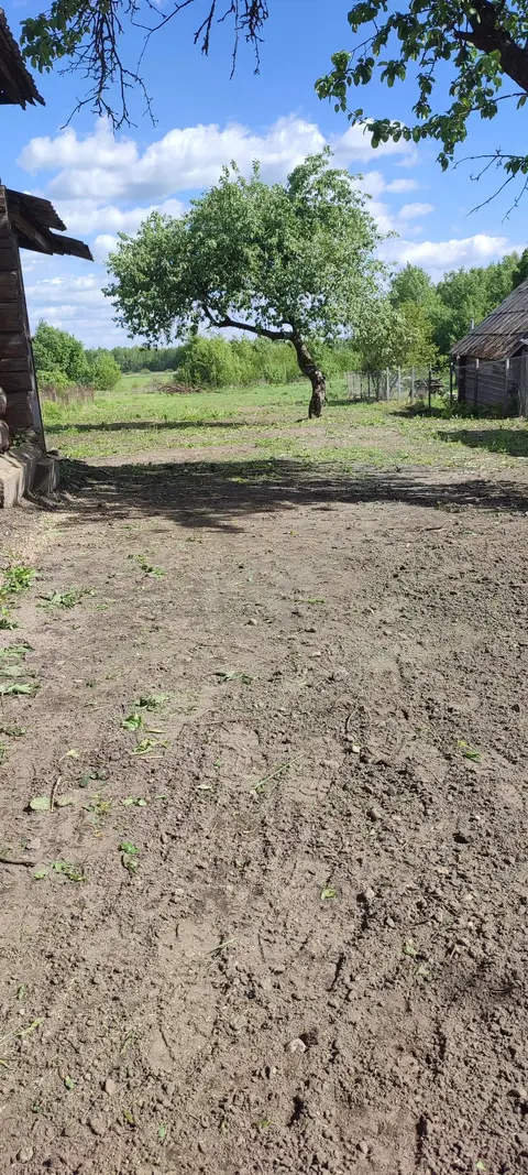  Расположение