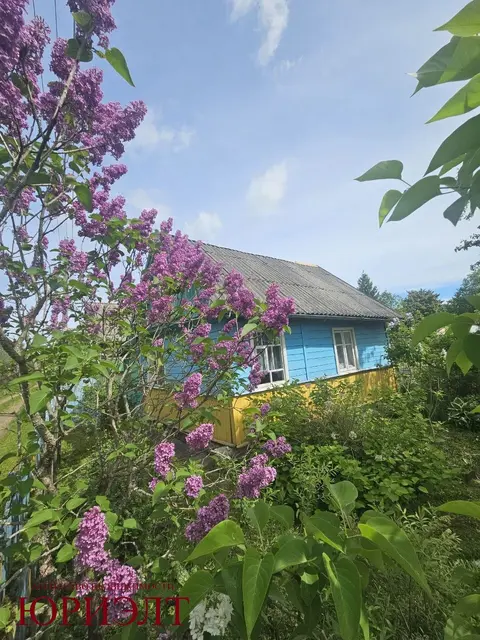  м² и участком соток