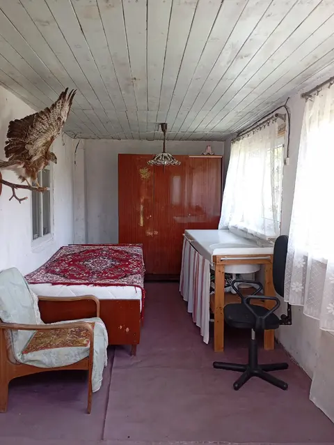  д. Великие Хольневичи, Крупский район, Холопенический сельсовет, ул. Озёрная