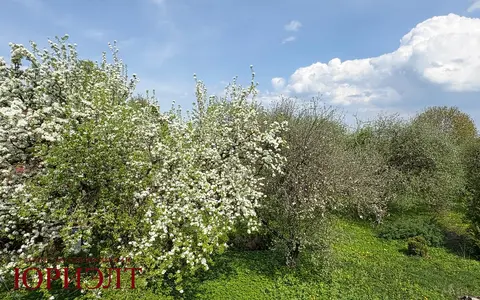  м² и участком соток