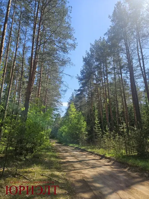  м² и участком соток