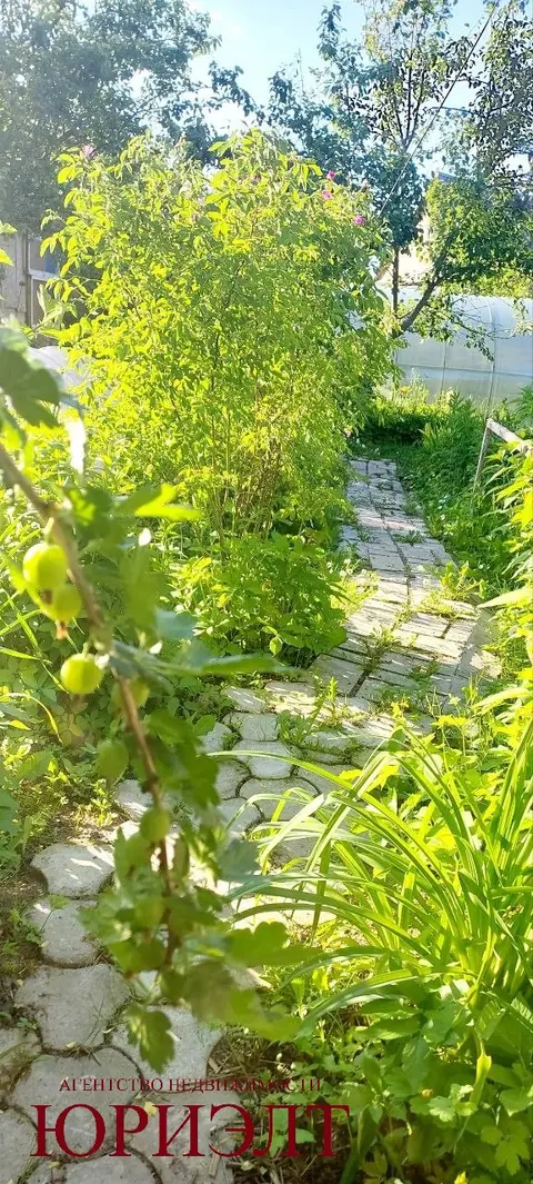  м² и участком соток