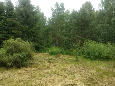  м² и участком соток