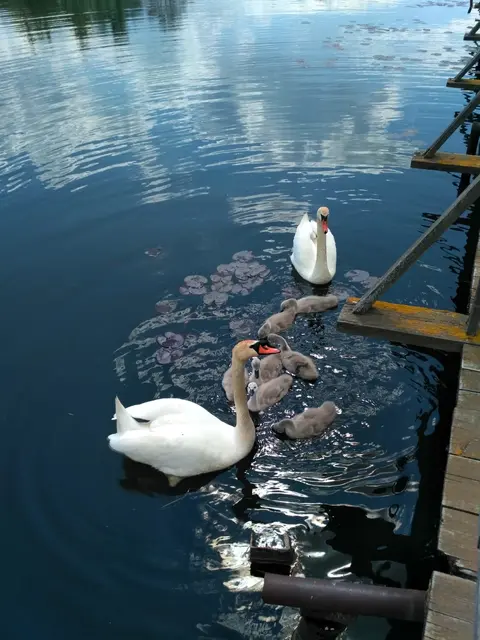  м² и участком сотки
