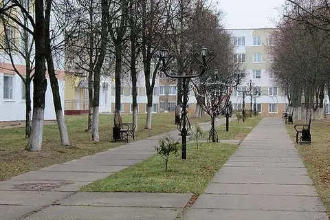  д. Великие Хольневичи, Крупский район, Холопенический сельсовет, ул. Озёрная