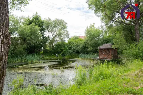 м² и участком сотка