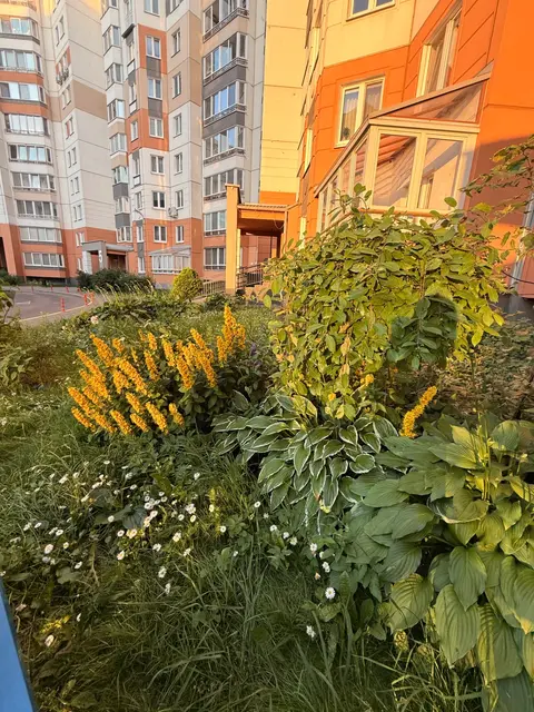  3-комнатная квартира в Минске на улице Аркадия Смолича 6