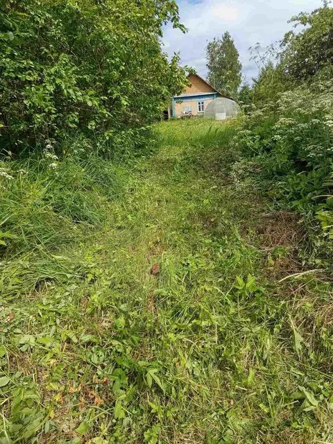  м² и участком соток