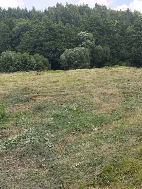  м² и участком соток