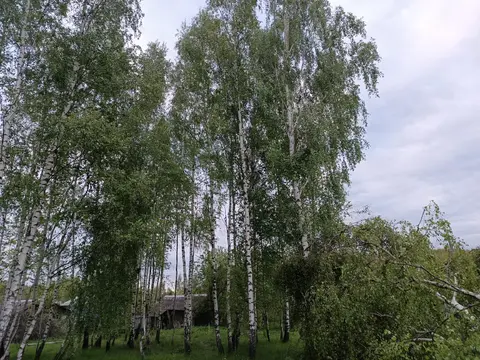  м² и участком сотки