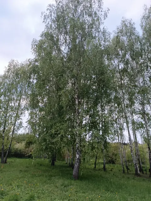  м² и участком сотки