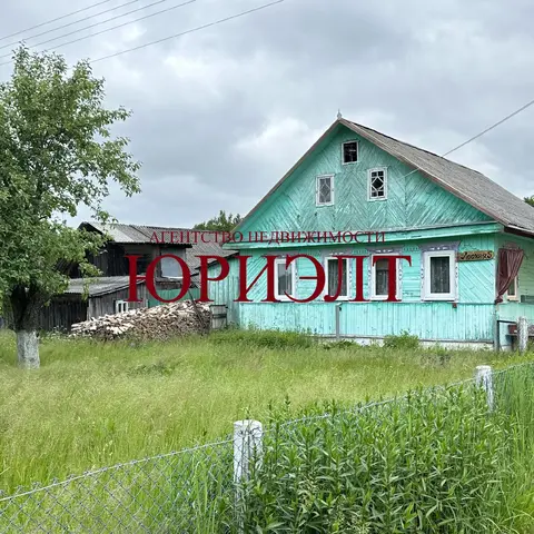  д. Великие Хольневичи, Крупский район, Холопенический сельсовет, ул. Озёрная