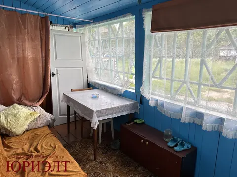 д. Великие Хольневичи, Крупский район, Холопенический сельсовет, ул. Озёрная