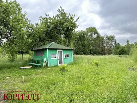  д. Великие Хольневичи, Крупский район, Холопенический сельсовет, ул. Озёрная