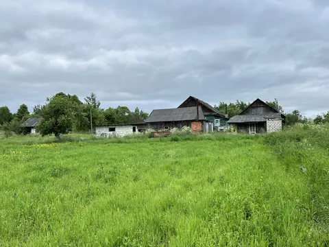  д. Великие Хольневичи, Крупский район, Холопенический сельсовет, ул. Озёрная