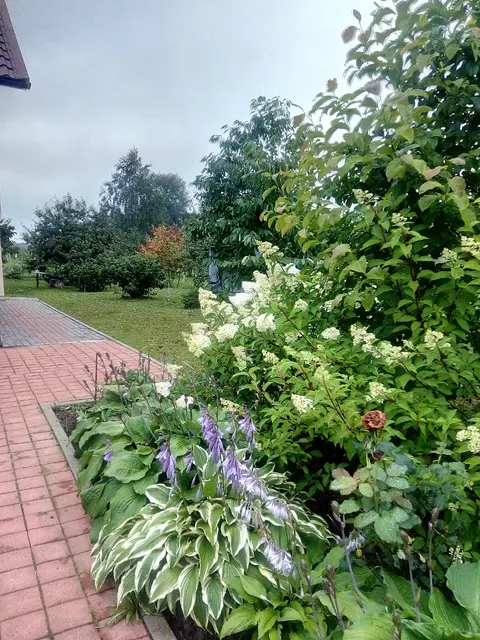  м² и участком соток