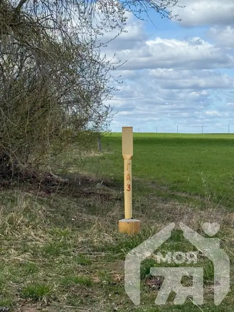  Дом