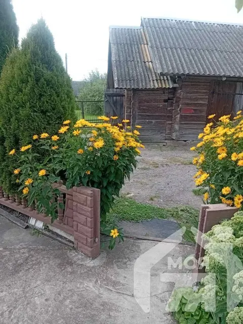  Около