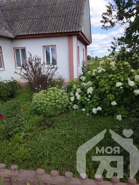  Около