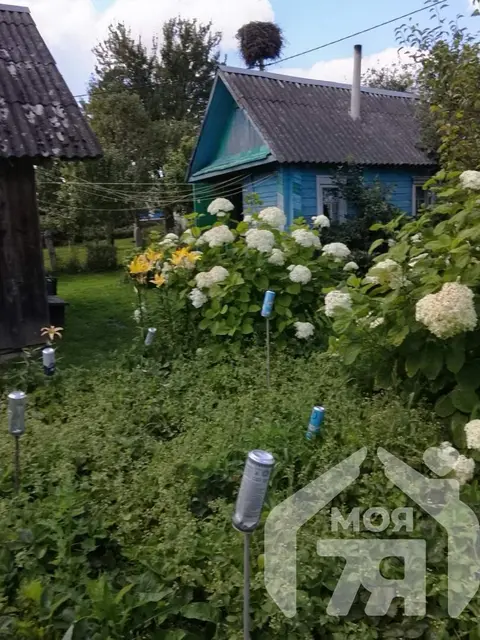  Около