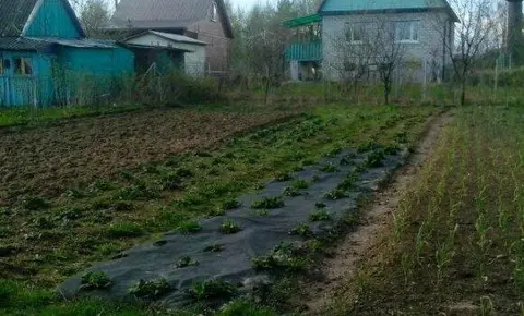  Расположение