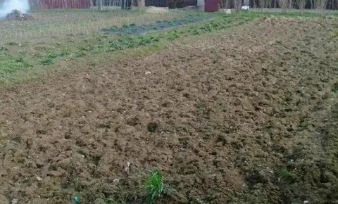  Расположение