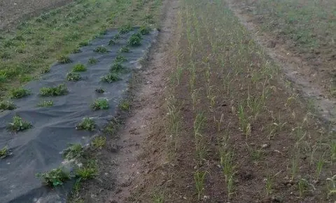  Расположение