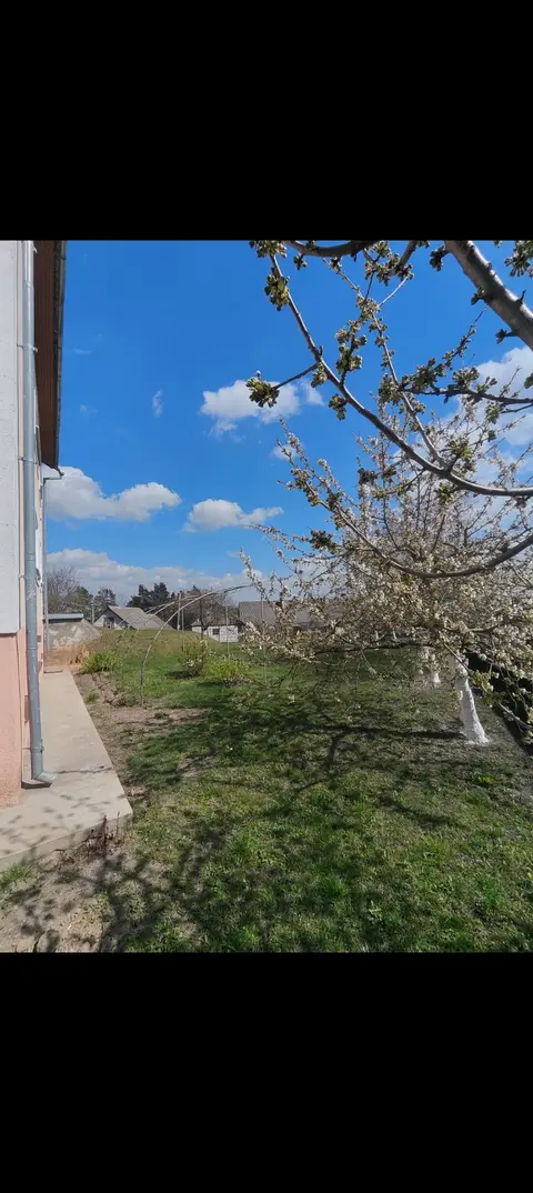  м² и участком соток