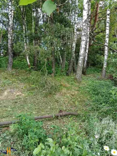  м² и участком соток