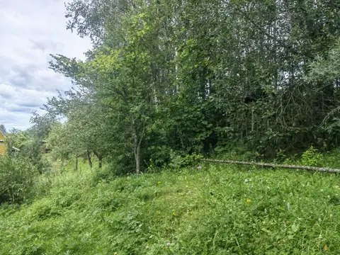  м² и участком соток