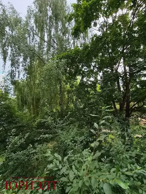  10-этаж