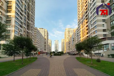  12Б