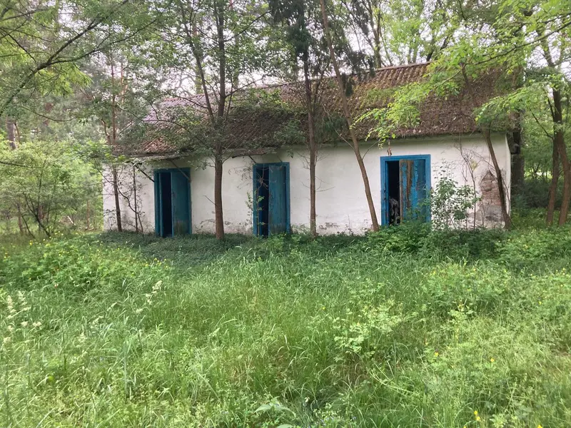 коммерческое помещение по адресу городской п. Домачево, Брестская область