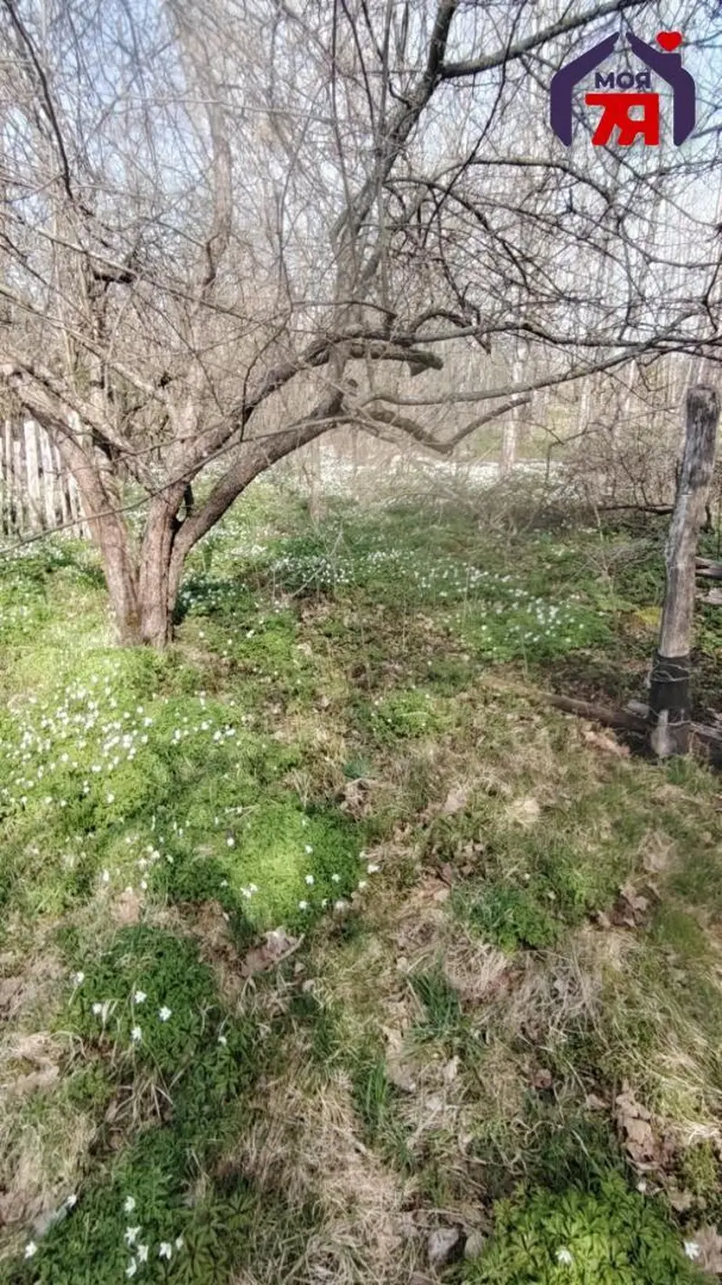  м² и участком соток