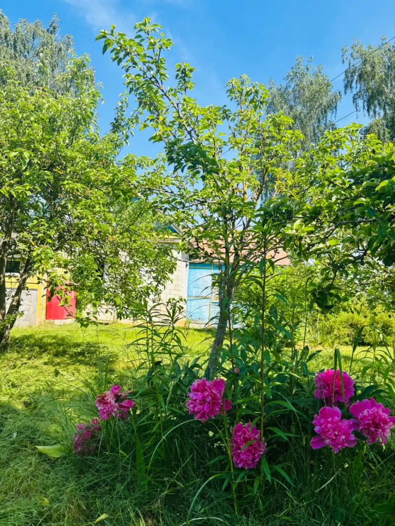 Дом па адрасу д. Коробовичи, 46, Пуховичский район, Минская область