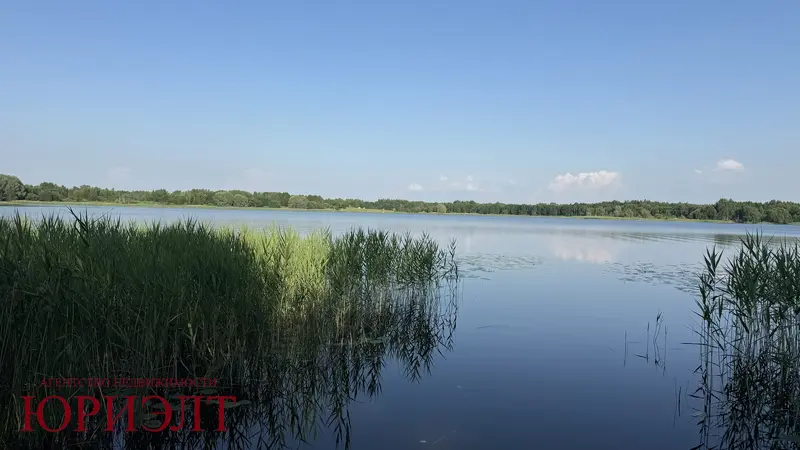  д. Великие Хольневичи, Крупский район, Холопенический сельсовет, ул. Озёрная