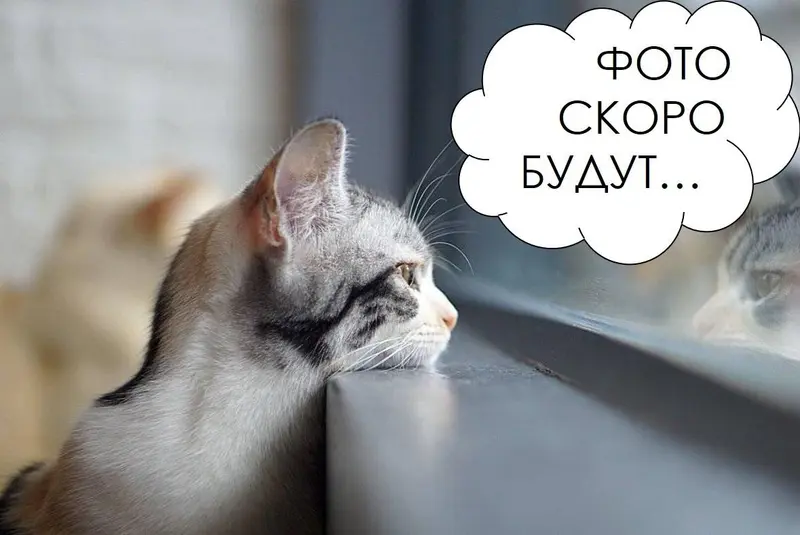  20-этаж