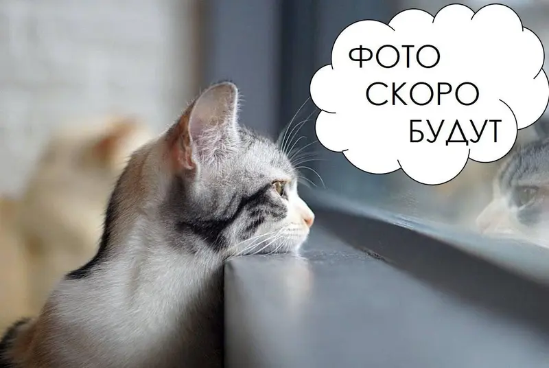  2-этаж